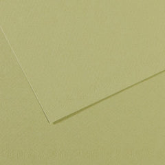 MI-TEINTES 480 LIGHT GREEN 19X25