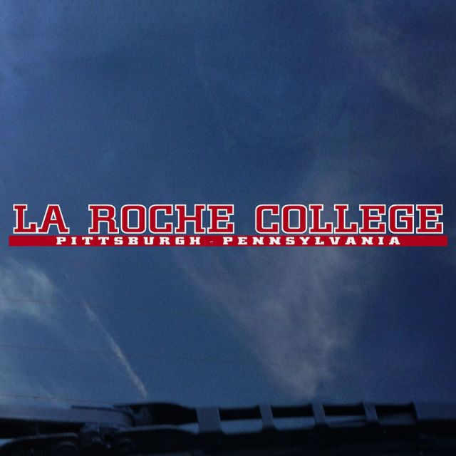 LaRoche College Strip Decal